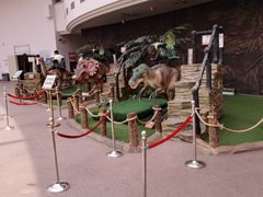 -陕西自然博物馆