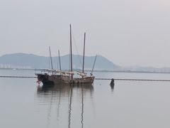 -贡湖湾湿地公园