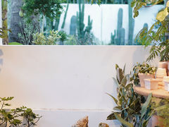 -自由生长植物工作室(深港花卉中心店)