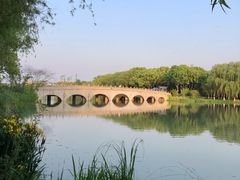 -昆山城市生态森林公园