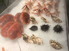 -Mr.Fish鱼鲜生海鲜放题(高德置地冬广场店)