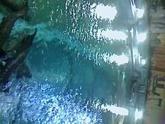-苏州海洋馆