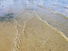 -碧海金沙