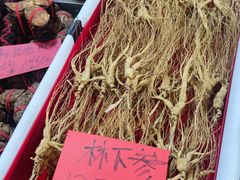 -中国农业博物馆