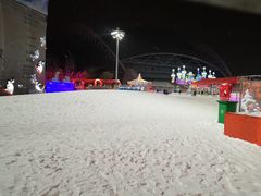 -沈阳奥体冰雪嘉年华