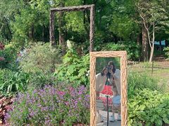 -上海共青森林公园