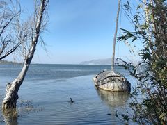 -洱海月湿地公园