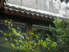 树都长在玻璃房里-走马楼饭庄(慈城古县城店)