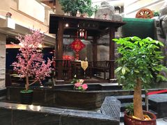-聚春园自助餐厅(东街口店)