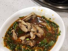 -大味美蛙鱼头(遂宁总店)