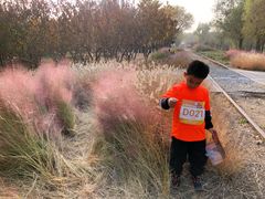 -永定河休闲森林公园