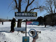 -棋盘山冰雪大世界