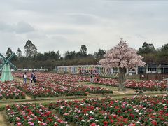-盈香心动乐园