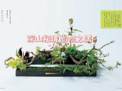-今日陶艺(富力广场店)