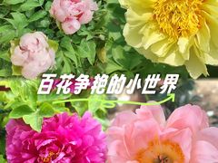 -洛阳市隋唐城遗址植物园