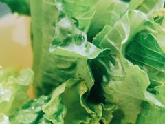 -探窝·竹笙椰子鸡(杨箕店)