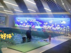 -水贝乐国际水育儿童游泳中心(新业广场店)