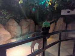 -酷嗒动物文化乐园(cutezoo西溪乐天城店)