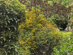 -唐城墙遗址公园