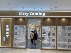 -小猫来了·猫舍(红山六九七九店)