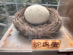 -成都动物园