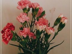 -无锡市第二人民医院(南院)