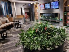 -大鸭梨烤鸭(枣园店)