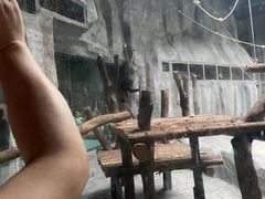 -武汉动物园