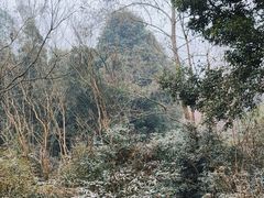 -青城山