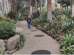 -上海辰山植物园