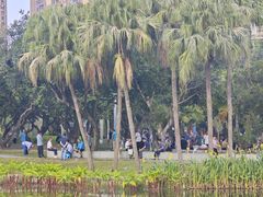 -四海公园(南山区)