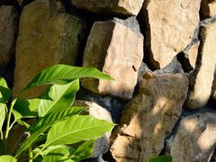 DSC_3356-广州锦绣香江度假别墅