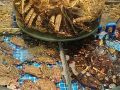 -望海湾鱼头泡饼·天津菜(空港店)