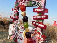 -蒲河大集