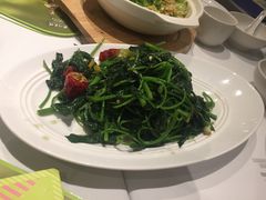 老坛酸菜炝炒红薯尖-眉州东坡(民族园店)