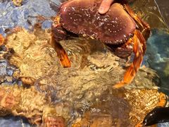 -渔民船说·北塘海鲜·天津菜·海肠捞饭(北塘古镇店)