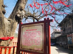 -康陵正德春饼宴26号