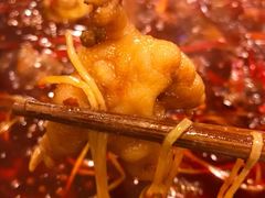-星鸿社重庆老火锅(燃灯寺分店)