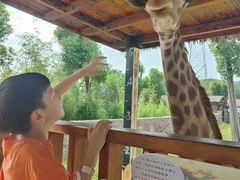 -南京汤山紫清湖生态旅游温泉度假区