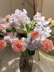 -MIDA蜜哒•科技逆龄美肤连锁