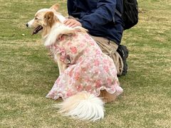 -钟山体育运动公园