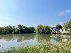 -新荣记(西溪湿地店)