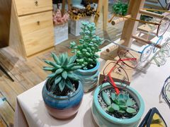-肆兮眼镜·蔡司·徕卡战略合作店(大坪店)