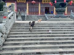 -南京市江宁方山
