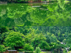 -明月山风景名胜区