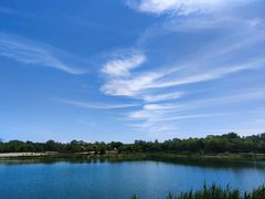 -东郊湿地公园