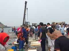 -青岛沙子口国家中心渔港