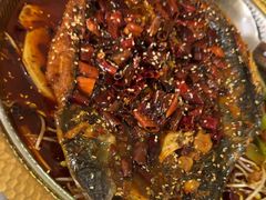 香辣豆花烤鱼-肥家大排档(天河体育西店)