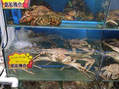 阿拉斯加帝王蟹-蚝专家(北滘店)