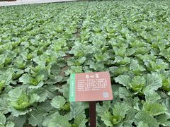 -中国天府农业博览园